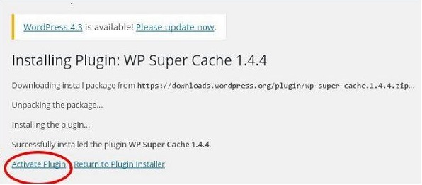 1486191124851362.jpg wordpress-plugin-settings-step4(c).jpg