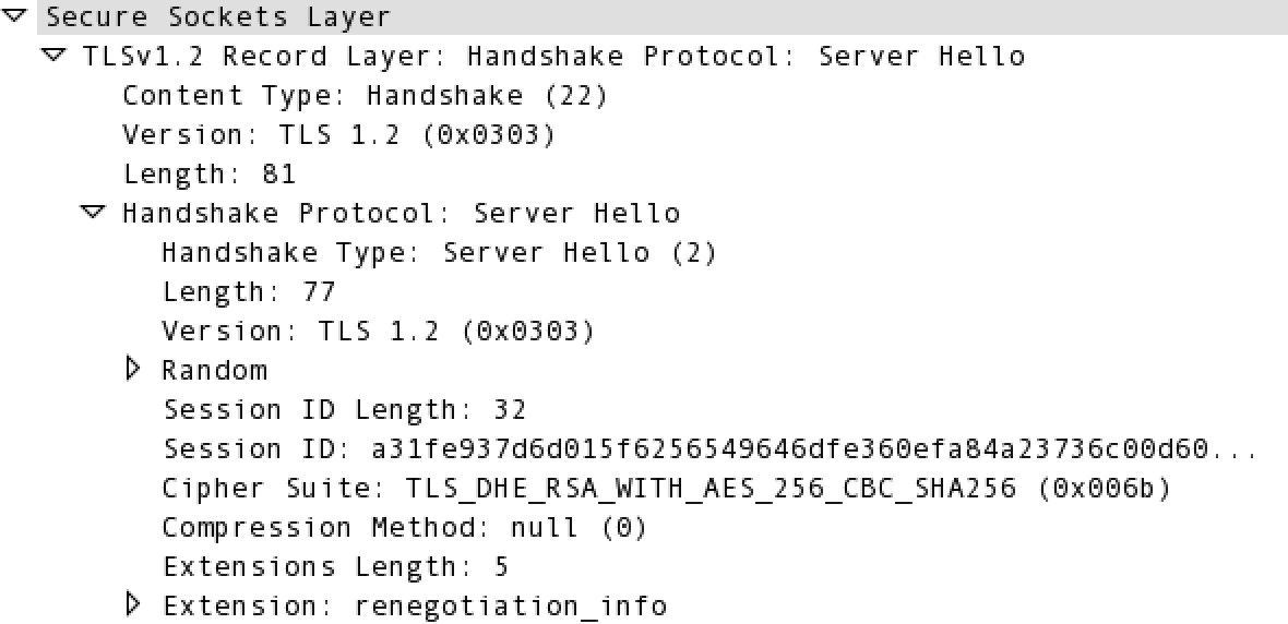 Server Hello