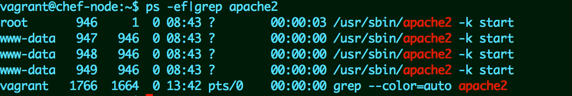 apache-run